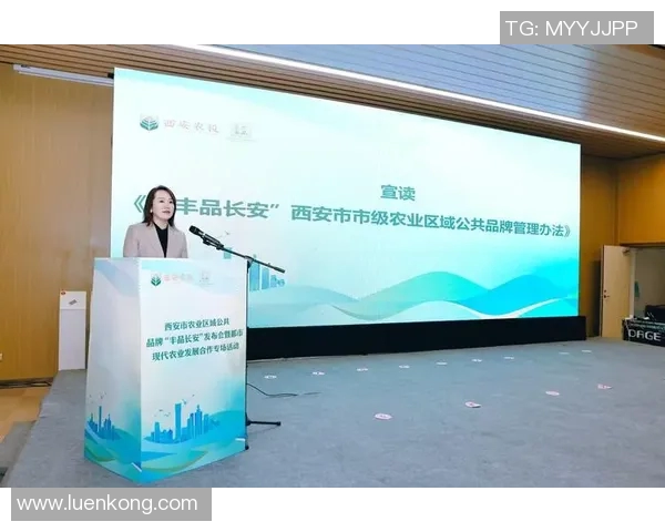 重磅专题：西安排球队如何通过阵地战革新提升比赛竞争力