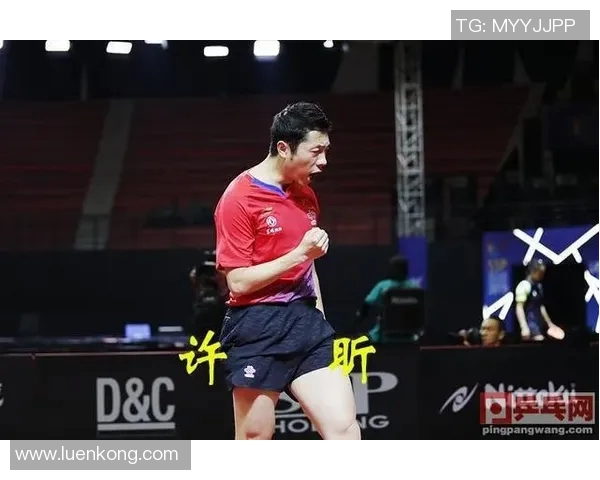 西安网球队防反战术解析与比赛表现的深度剖析