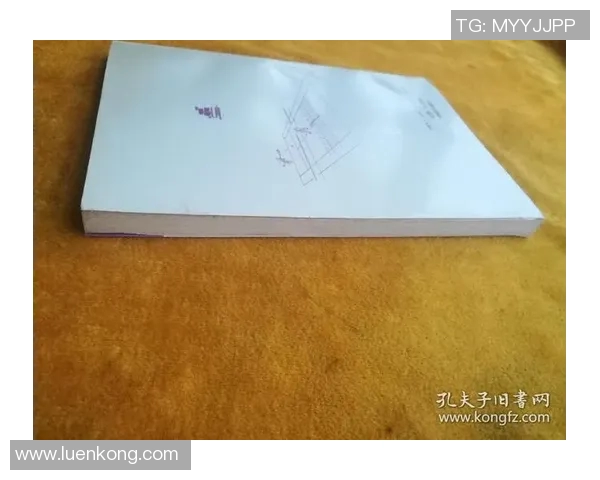 南京网球队进攻策略解析：深度剖析网球战术与技巧的完美结合