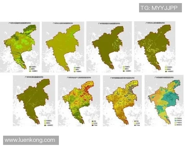 北京足球队在奥运会中的团队协作表现分析与点评