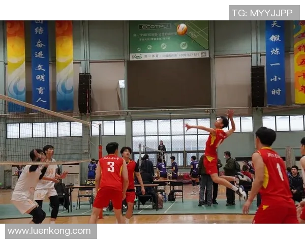 南京排球队在挑战赛中的技术表现分析与点评总结