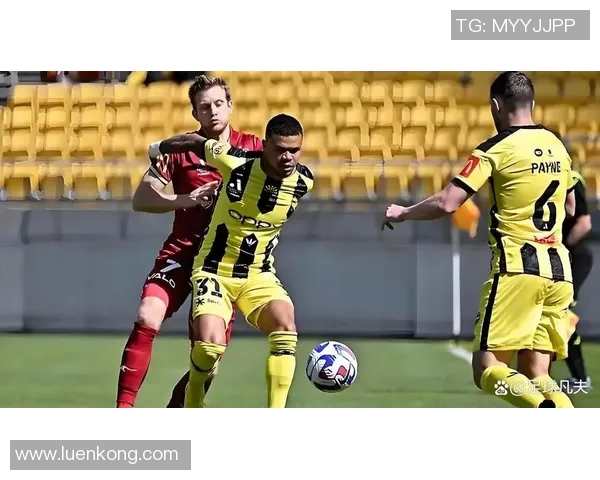 布里斯班狮吼与凤凰的激烈对决展现足球魅力与团队精神