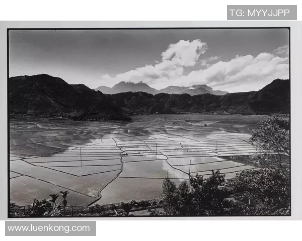 探索阿拉巴的历史与文化魅力，揭示这片土地的独特风景与人文故事