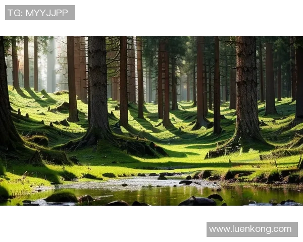 绿色森林与牛津联的激战谁能在赛场上笑到最后